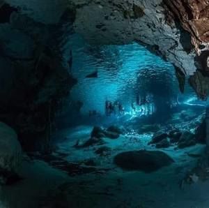 Meet your Posher, Paul